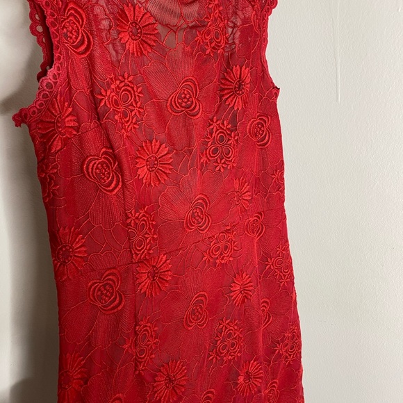 Cynthia Steefe Boatneck Lace Cap Sleeve Dr… - Picture 3 of 6